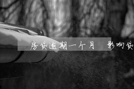 房贷逾期一个月 影响贷款 房贷逾期一个月 影响贷款